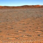 Imagem relacionada a Fenômeno dos Círculos das Fadas se espalha globalmente, desafiando explicações