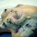 Imagem relacionada a Cientistas acreditam que alienígenas existem? Novo estudo revela o que a ciência realmente pensa