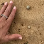 Imagem relacionada a Misteriosas bolinhas de origem desconhecida forçam fechamento de praias na Austrália