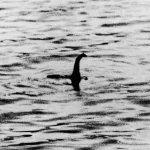 Imagem relacionada a Novo estudo de DNA pode desvendar o mistério do Monstro do Lago Ness