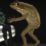 Imagem relacionada a Conheça 3 criaturas criptozoológicas pouco conhecidas