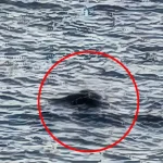 Imagem relacionada a Primeira foto do Monstro do Lago Ness de 2025 é aclamada como 'fantástica'