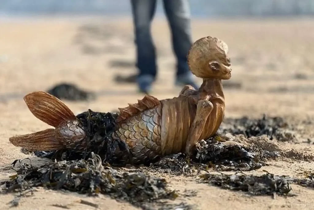 Imagem relacionada a Misteriosa 'sereia esquelética' aparece em praia na Inglaterra