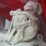 Imagem relacionada a Feto encontrado no útero de uma das "Múmias Alienígenas" do Peru