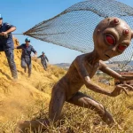 Imagem relacionada a As contradições do Inquérito Militar que tornaram o Caso Varginha ainda mais misterioso